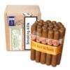 Le Hoyo du Depute SLB 25