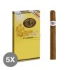 Jose El Piedra Cazadores 5x5 01