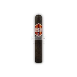 20220330033052 CAO Session Garage Robusto 20 03 br backup