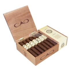 CAO Pilon Toro 20 01 1 br backup