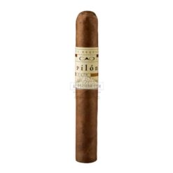 CAO Pilon Toro 20 02 1 br backup