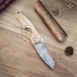 CC0201040 Le Petit Compass Cuba Olivier 05 br backup