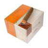 Cain Daytona 550 01 br backup