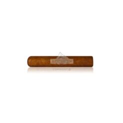 Esteli Club N1 01 br backup