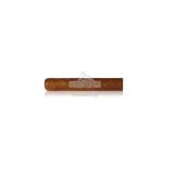 Esteli Club N3 01 br backup