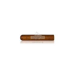 Esteli Club N5 01 br backup