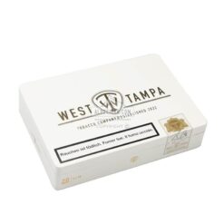 West Tampa White Robusto