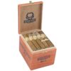 Insidious by Asylum Robusto br backup