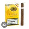 Jose L. Piedra Conservas (5x5)