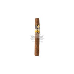 Cohiba Wide Short Humidor 2025 (50)